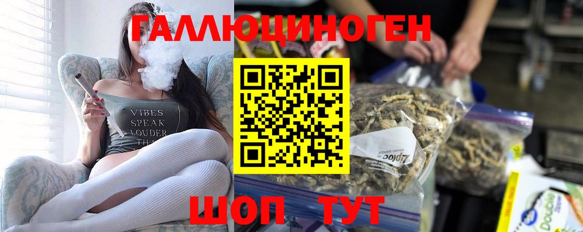 Гуково  Галлюциногенные грибы GOLDEN TEACHER  цена наркотик  Вход с VPN 